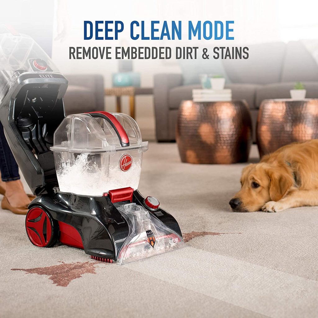 Best carpet cleaner for pets