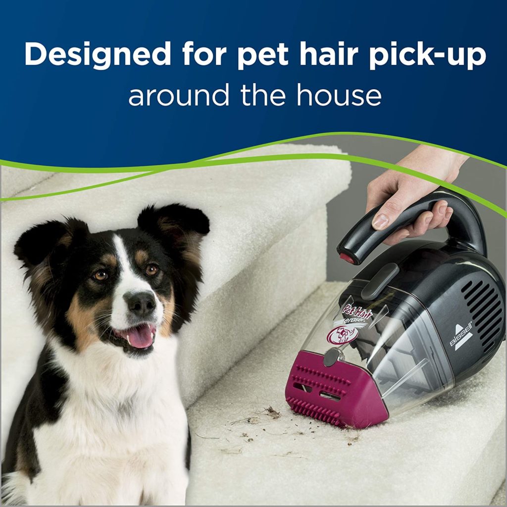 Best Vacuum for Pet Hair